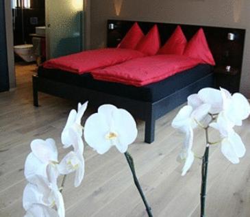 Hotel Quersinn プフェフィコーン 部屋 写真